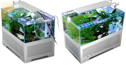  Thị trường Case PC Kiểu 